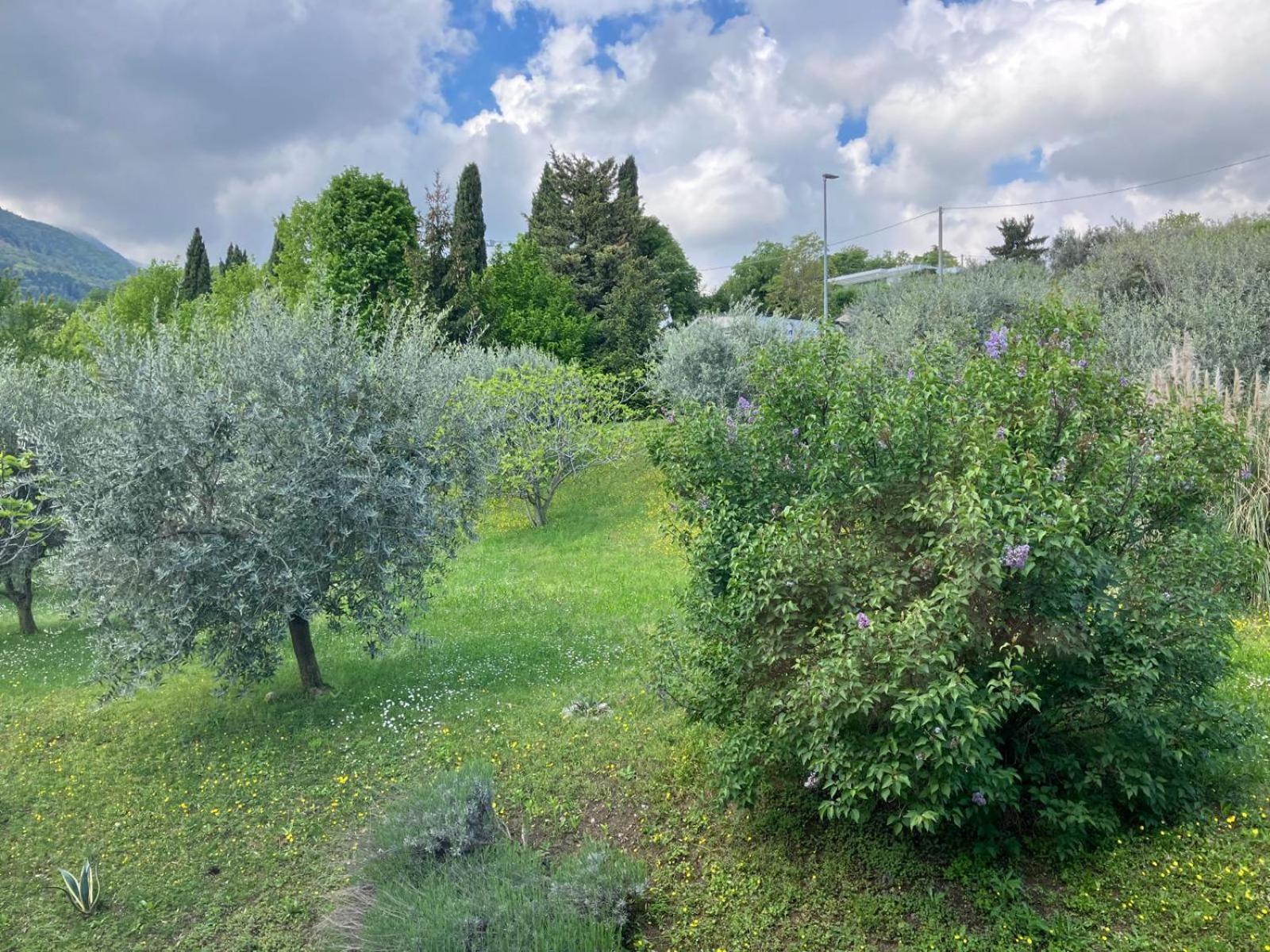 Happy Guest Apartments - Lake View And Pool Riva di Solto Extérieur photo